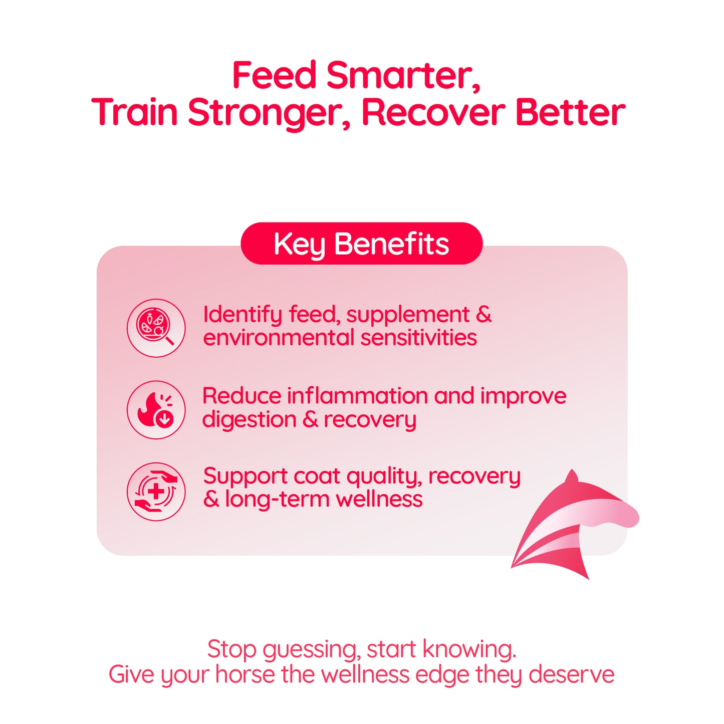 Equine Insight™️ – Equine Sensitivity & Wellness Panel