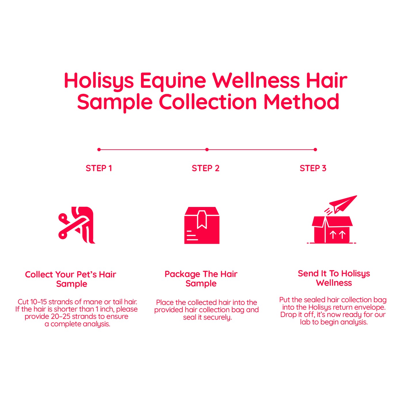 Equine Insight™️ – Equine Sensitivity & Wellness Panel