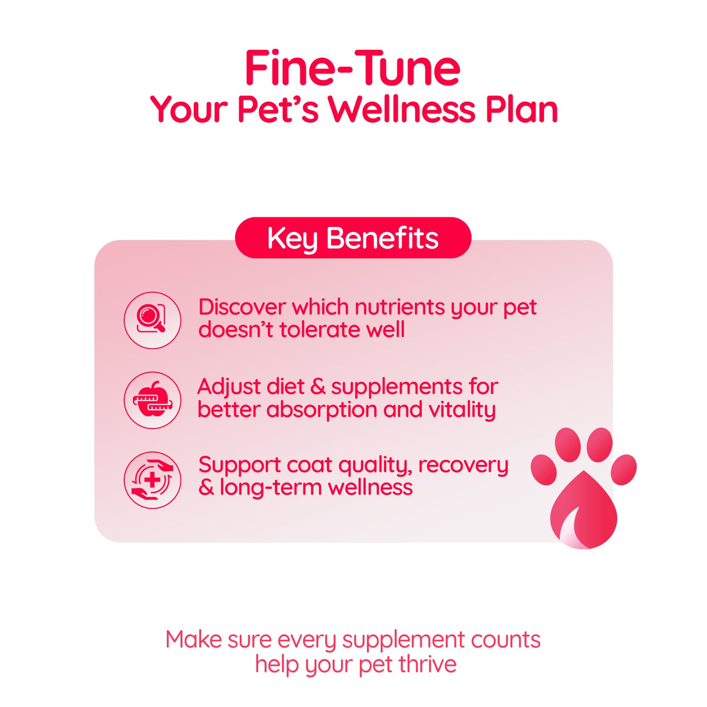 CoreVita™️ – Nutrient Sensitivity & Wellness Test for Dogs & Cats