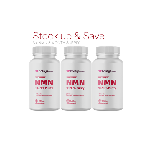 Holisys NMN Tablets – Vegan, Sugar-Free, 500 mg x2 NMN per Tablet (3 Bottle Bundle)