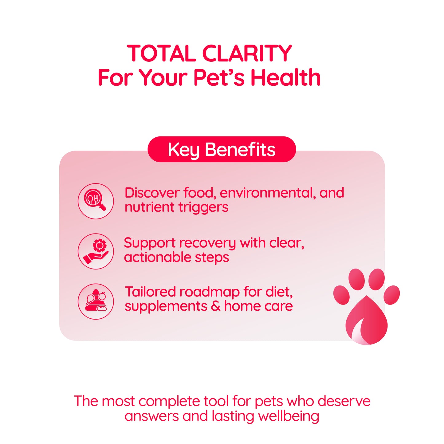 Insight Clear™️ – Environmental & Lifestyle Sensitivity Test