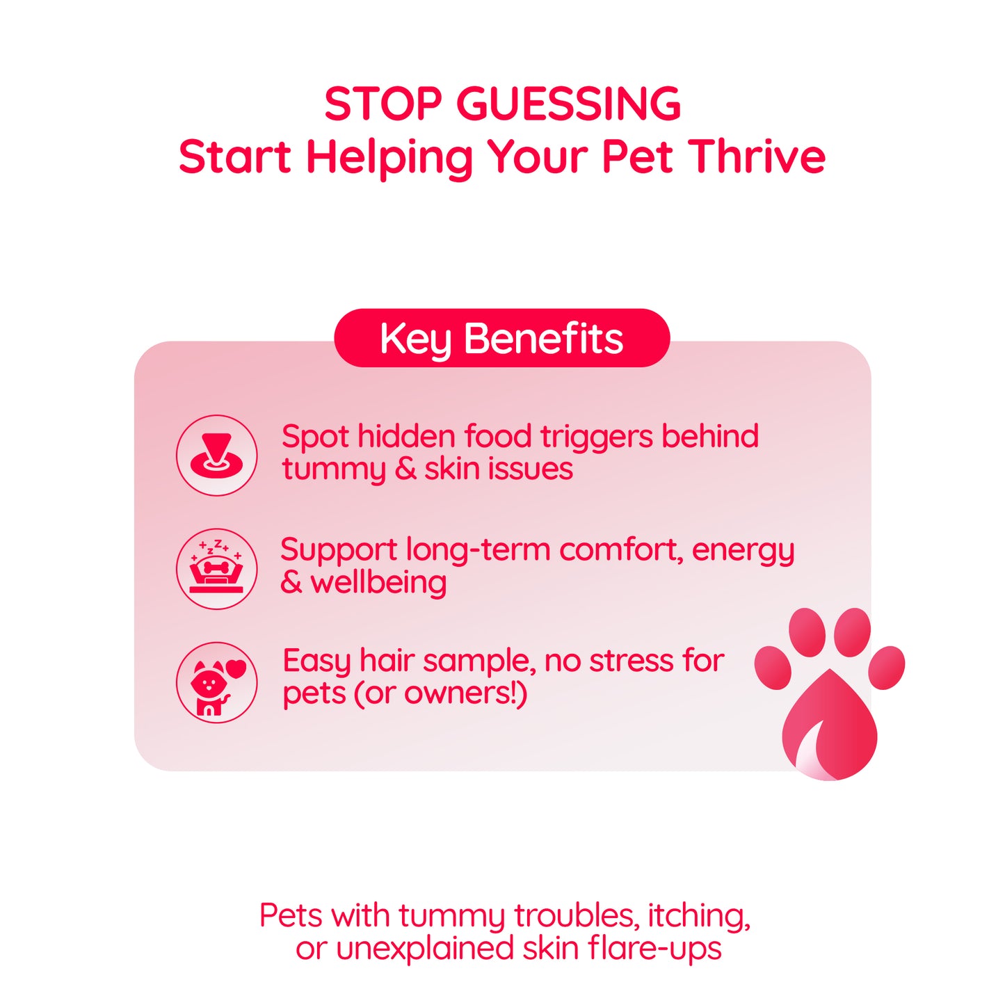 Insight Digest™️ – Pet Food Sensitivity Test Unlock Your Dog or Cat’s Digestive Comfort